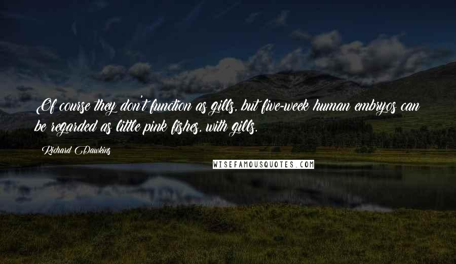 Richard Dawkins Quotes: Of course they don't function as gills, but five-week human embryos can be regarded as little pink fishes, with gills.