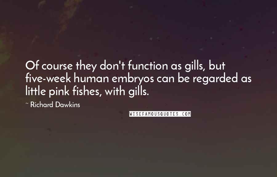 Richard Dawkins Quotes: Of course they don't function as gills, but five-week human embryos can be regarded as little pink fishes, with gills.