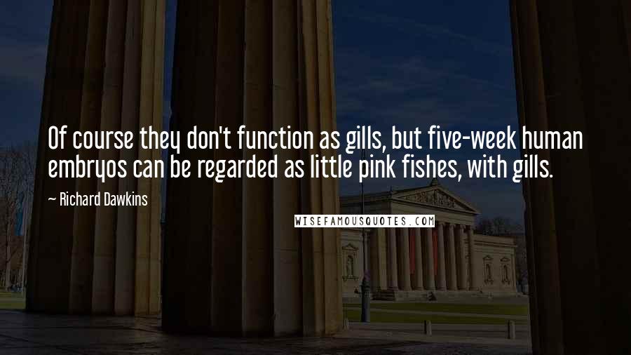 Richard Dawkins Quotes: Of course they don't function as gills, but five-week human embryos can be regarded as little pink fishes, with gills.