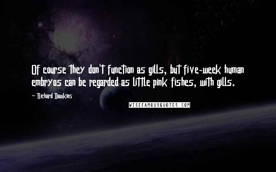 Richard Dawkins Quotes: Of course they don't function as gills, but five-week human embryos can be regarded as little pink fishes, with gills.