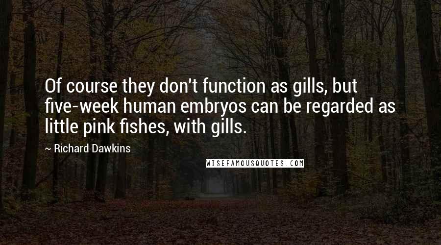 Richard Dawkins Quotes: Of course they don't function as gills, but five-week human embryos can be regarded as little pink fishes, with gills.