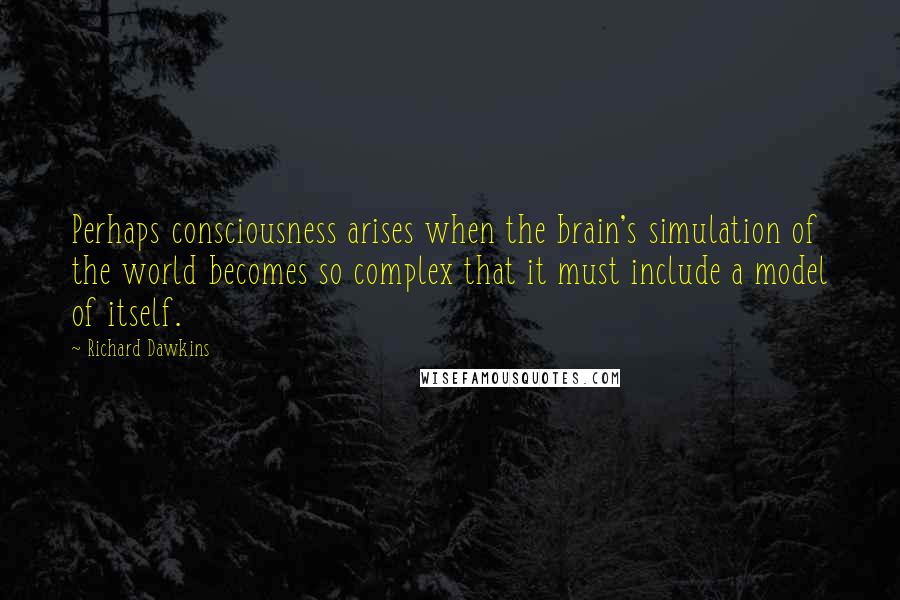 Richard Dawkins Quotes: Perhaps consciousness arises when the brain's simulation of the world becomes so complex that it must include a model of itself.