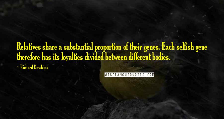 Richard Dawkins Quotes: Relatives share a substantial proportion of their genes. Each selfish gene therefore has its loyalties divided between different bodies.