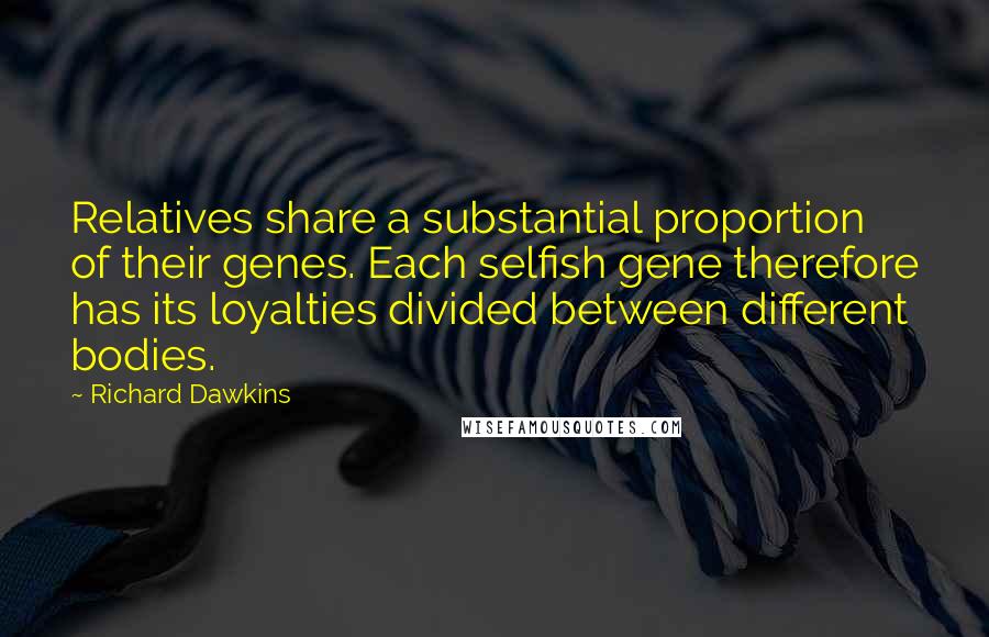 Richard Dawkins Quotes: Relatives share a substantial proportion of their genes. Each selfish gene therefore has its loyalties divided between different bodies.