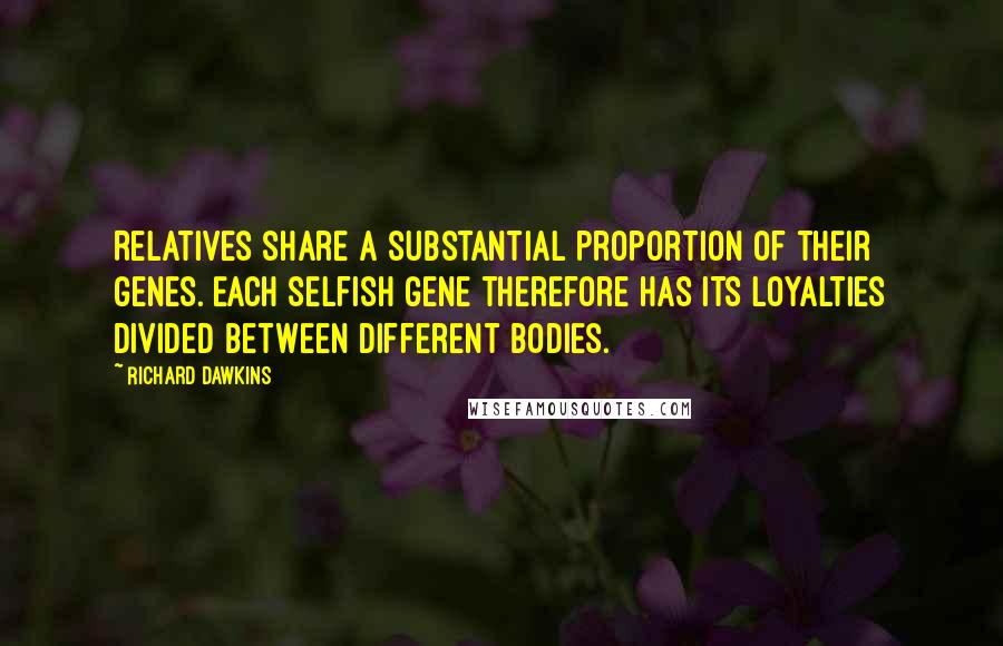 Richard Dawkins Quotes: Relatives share a substantial proportion of their genes. Each selfish gene therefore has its loyalties divided between different bodies.