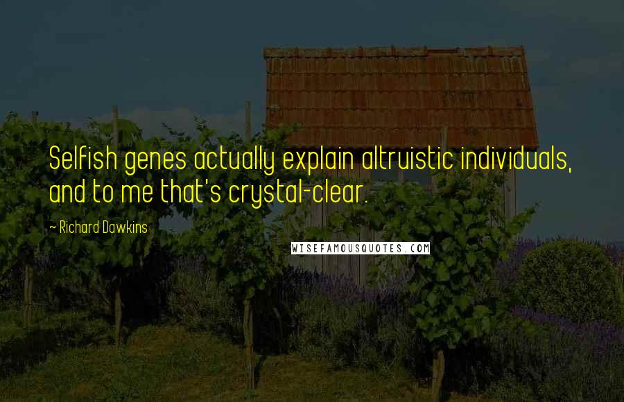 Richard Dawkins Quotes: Selfish genes actually explain altruistic individuals, and to me that's crystal-clear.
