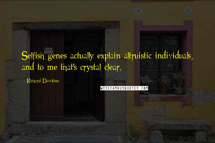 Richard Dawkins Quotes: Selfish genes actually explain altruistic individuals, and to me that's crystal-clear.