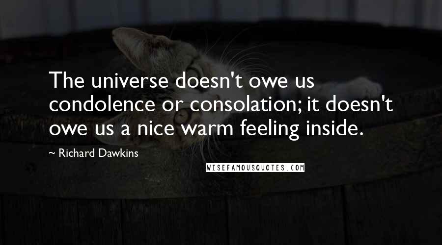 Richard Dawkins Quotes: The universe doesn't owe us condolence or consolation; it doesn't owe us a nice warm feeling inside.