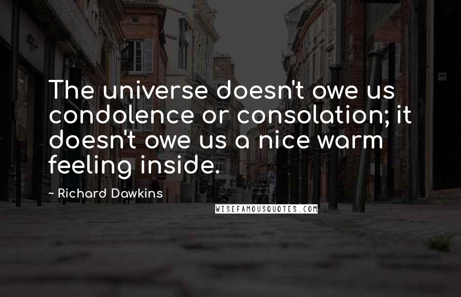 Richard Dawkins Quotes: The universe doesn't owe us condolence or consolation; it doesn't owe us a nice warm feeling inside.