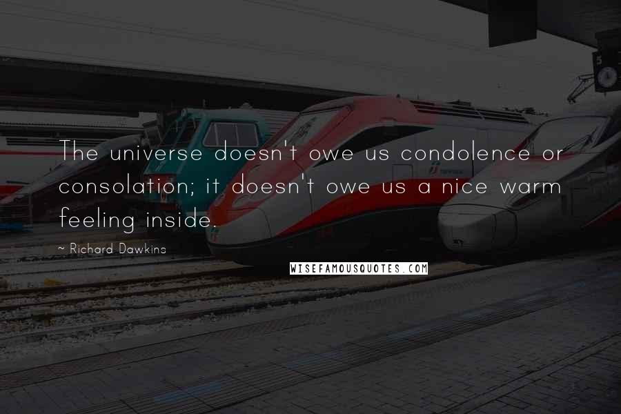 Richard Dawkins Quotes: The universe doesn't owe us condolence or consolation; it doesn't owe us a nice warm feeling inside.