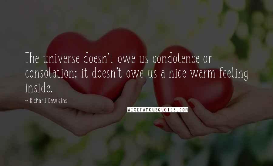 Richard Dawkins Quotes: The universe doesn't owe us condolence or consolation; it doesn't owe us a nice warm feeling inside.