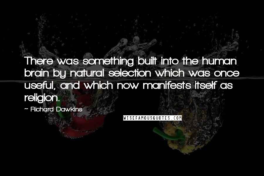 Richard Dawkins Quotes: There was something built into the human brain by natural selection which was once useful, and which now manifests itself as religion.