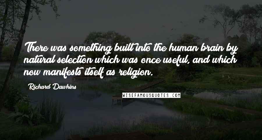 Richard Dawkins Quotes: There was something built into the human brain by natural selection which was once useful, and which now manifests itself as religion.