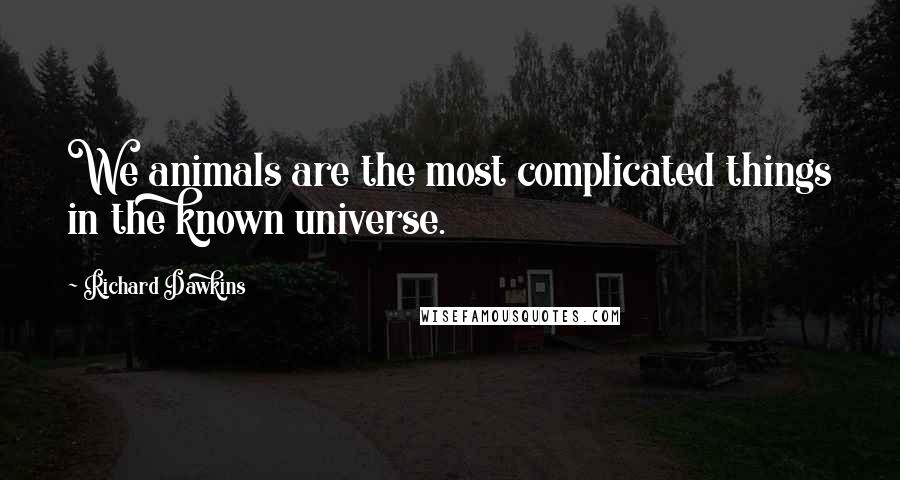 Richard Dawkins Quotes: We animals are the most complicated things in the known universe.