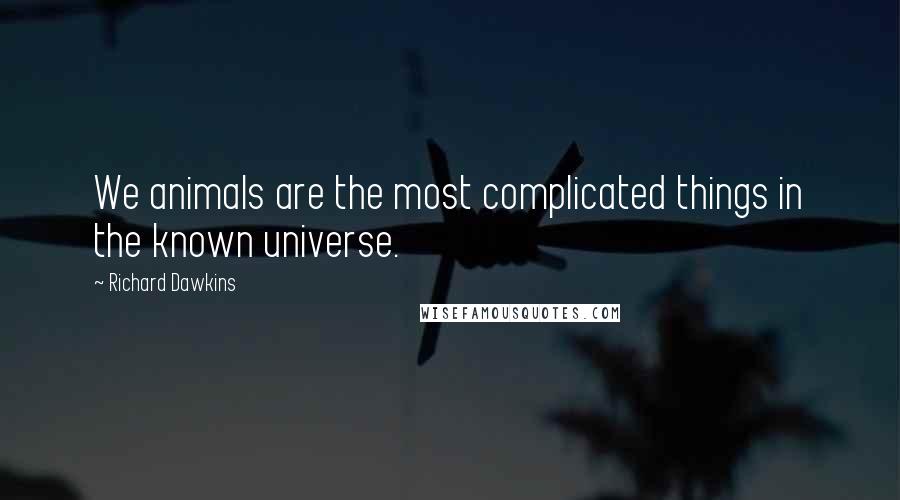 Richard Dawkins Quotes: We animals are the most complicated things in the known universe.