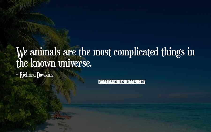 Richard Dawkins Quotes: We animals are the most complicated things in the known universe.