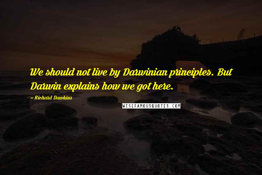 Richard Dawkins Quotes: We should not live by Darwinian principles. But Darwin explains how we got here.