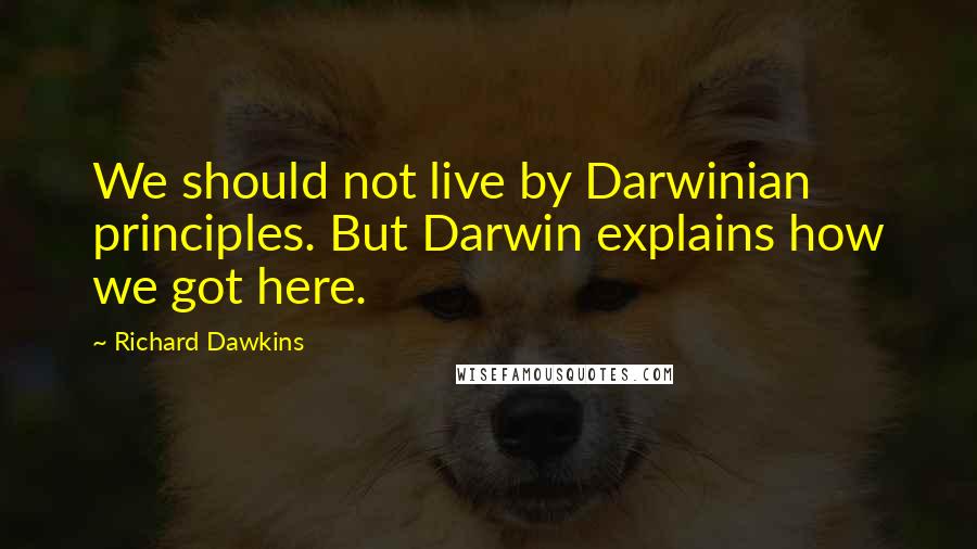 Richard Dawkins Quotes: We should not live by Darwinian principles. But Darwin explains how we got here.