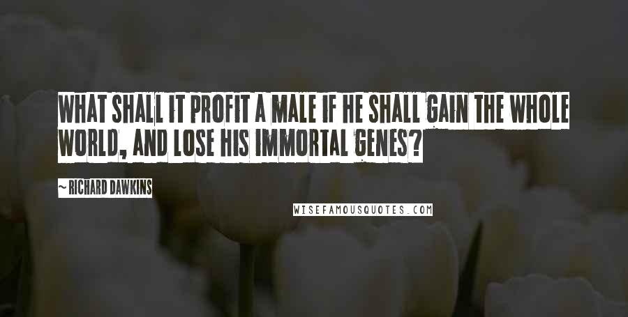Richard Dawkins Quotes: What shall it profit a male if he shall gain the whole world, and lose his immortal genes?
