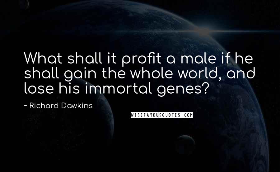 Richard Dawkins Quotes: What shall it profit a male if he shall gain the whole world, and lose his immortal genes?