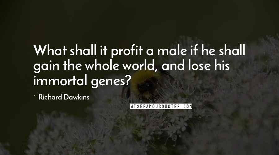 Richard Dawkins Quotes: What shall it profit a male if he shall gain the whole world, and lose his immortal genes?