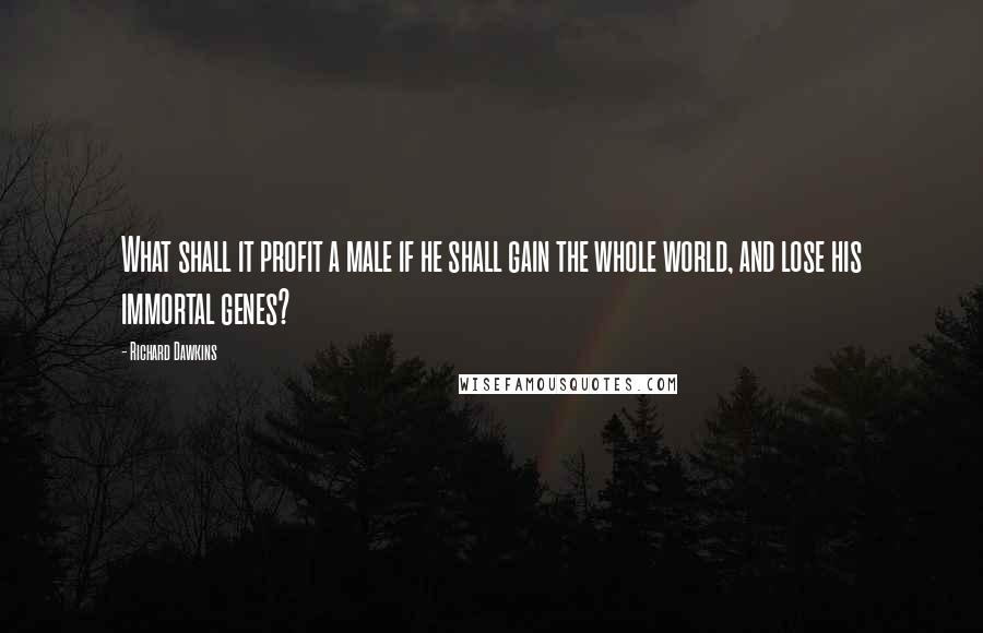 Richard Dawkins Quotes: What shall it profit a male if he shall gain the whole world, and lose his immortal genes?