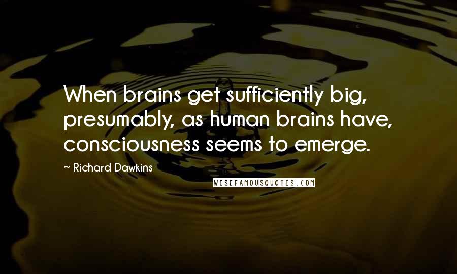 Richard Dawkins Quotes: When brains get sufficiently big, presumably, as human brains have, consciousness seems to emerge.