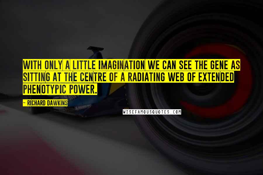 Richard Dawkins Quotes: With only a little imagination we can see the gene as sitting at the centre of a radiating web of extended phenotypic power.