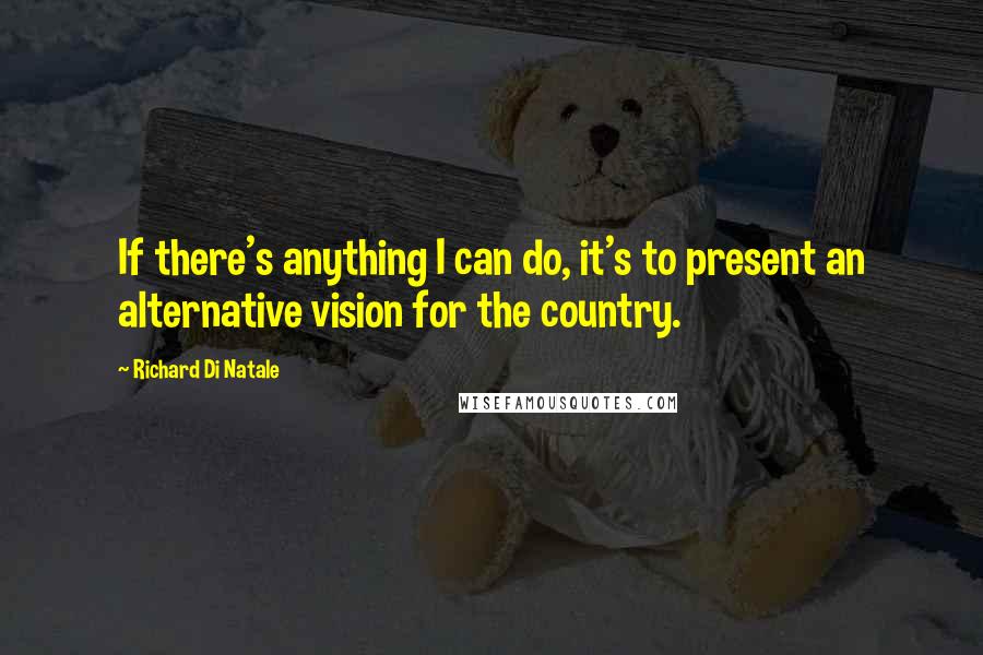 Richard Di Natale Quotes: If there's anything I can do, it's to present an alternative vision for the country.