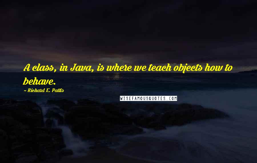 Richard E. Pattis Quotes: A class, in Java, is where we teach objects how to behave.