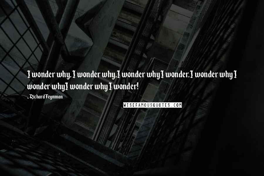 Richard Feynman Quotes: I wonder why. I wonder why.I wonder why I wonder.I wonder why I wonder whyI wonder why I wonder!