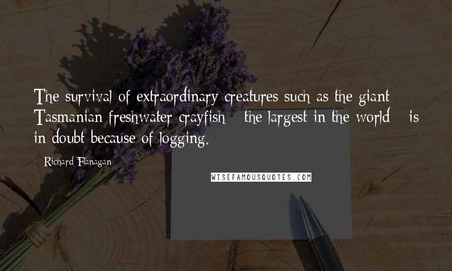 Richard Flanagan Quotes: The survival of extraordinary creatures such as the giant Tasmanian freshwater crayfish - the largest in the world - is in doubt because of logging.