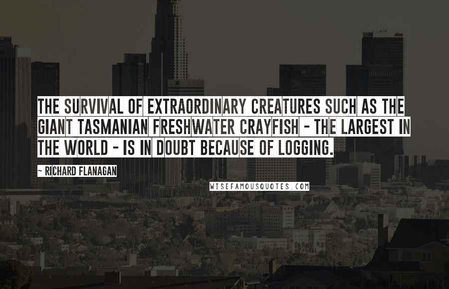 Richard Flanagan Quotes: The survival of extraordinary creatures such as the giant Tasmanian freshwater crayfish - the largest in the world - is in doubt because of logging.