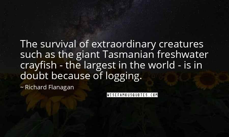 Richard Flanagan Quotes: The survival of extraordinary creatures such as the giant Tasmanian freshwater crayfish - the largest in the world - is in doubt because of logging.