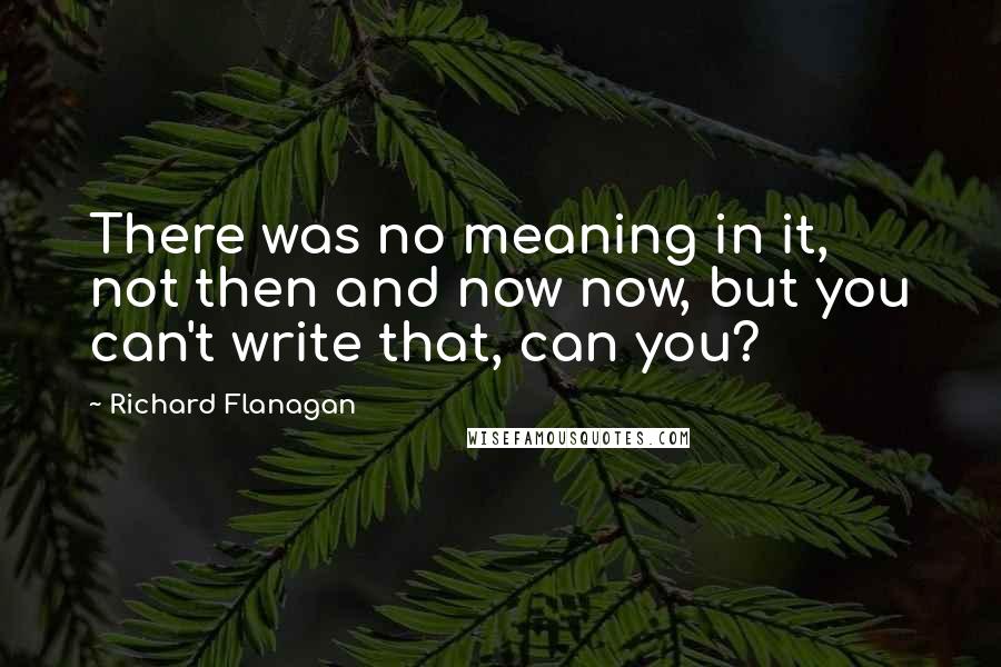 Richard Flanagan Quotes: There was no meaning in it, not then and now now, but you can't write that, can you?
