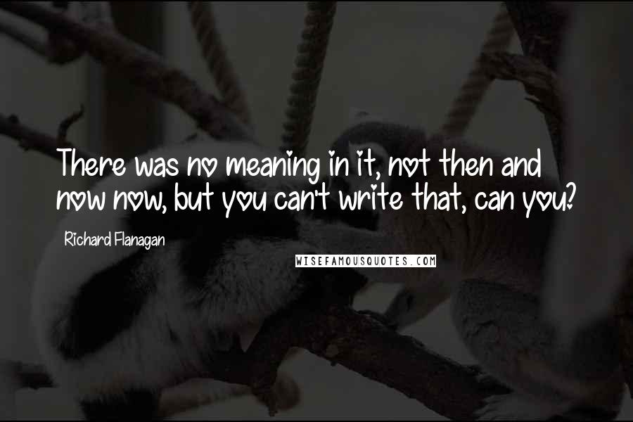 Richard Flanagan Quotes: There was no meaning in it, not then and now now, but you can't write that, can you?