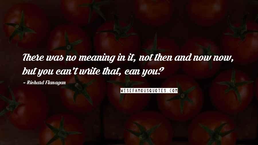 Richard Flanagan Quotes: There was no meaning in it, not then and now now, but you can't write that, can you?