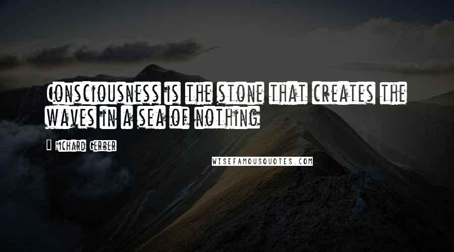 Richard Gerber Quotes: Consciousness is the stone that creates the waves in a sea of nothing