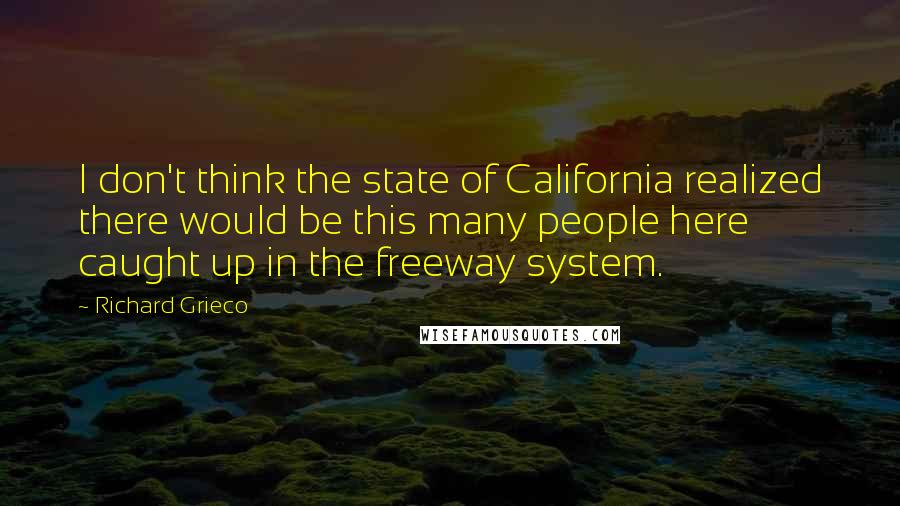 Richard Grieco Quotes: I don't think the state of California realized there would be this many people here caught up in the freeway system.