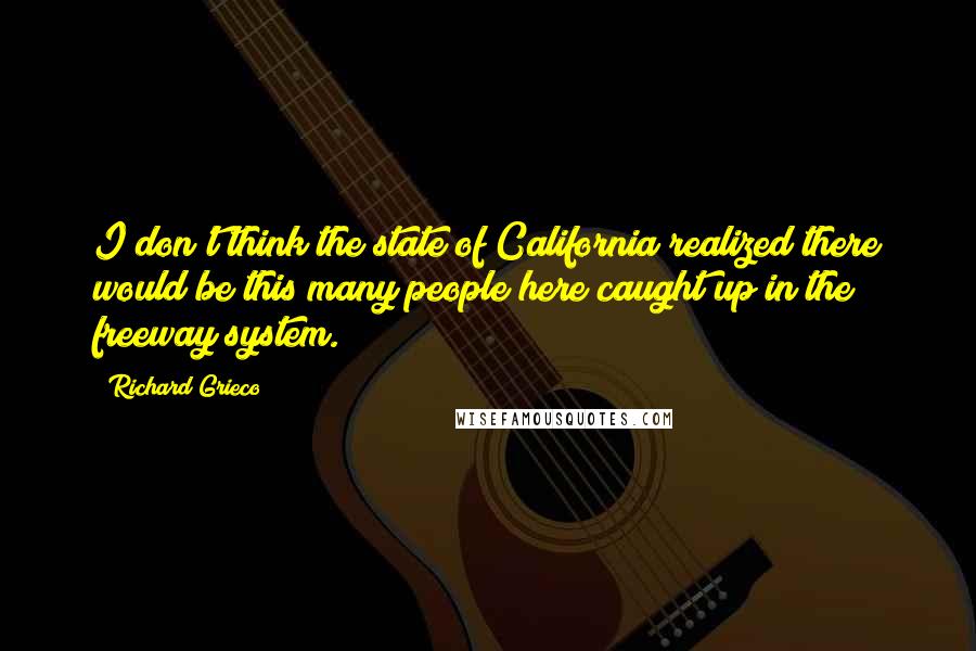 Richard Grieco Quotes: I don't think the state of California realized there would be this many people here caught up in the freeway system.