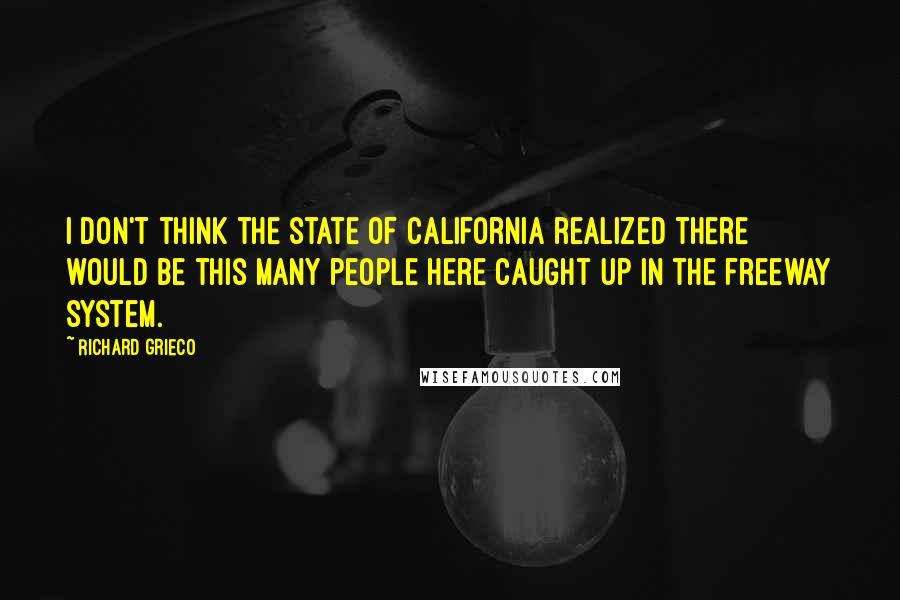 Richard Grieco Quotes: I don't think the state of California realized there would be this many people here caught up in the freeway system.