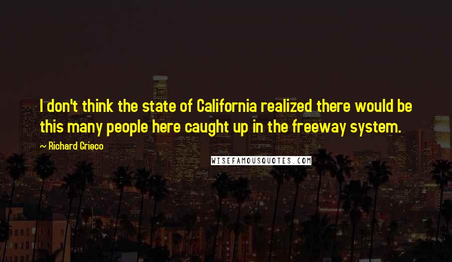 Richard Grieco Quotes: I don't think the state of California realized there would be this many people here caught up in the freeway system.