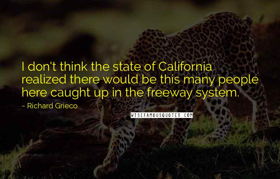 Richard Grieco Quotes: I don't think the state of California realized there would be this many people here caught up in the freeway system.