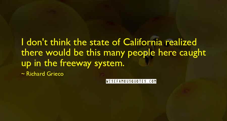 Richard Grieco Quotes: I don't think the state of California realized there would be this many people here caught up in the freeway system.