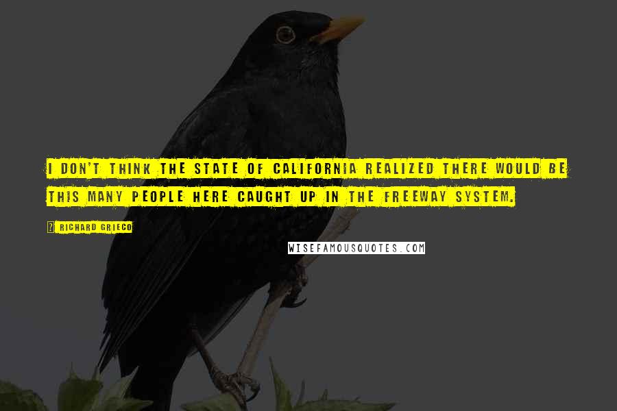 Richard Grieco Quotes: I don't think the state of California realized there would be this many people here caught up in the freeway system.