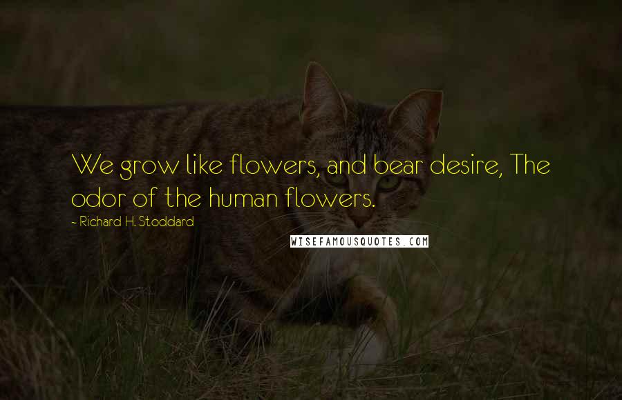 Richard H. Stoddard Quotes: We grow like flowers, and bear desire, The odor of the human flowers.