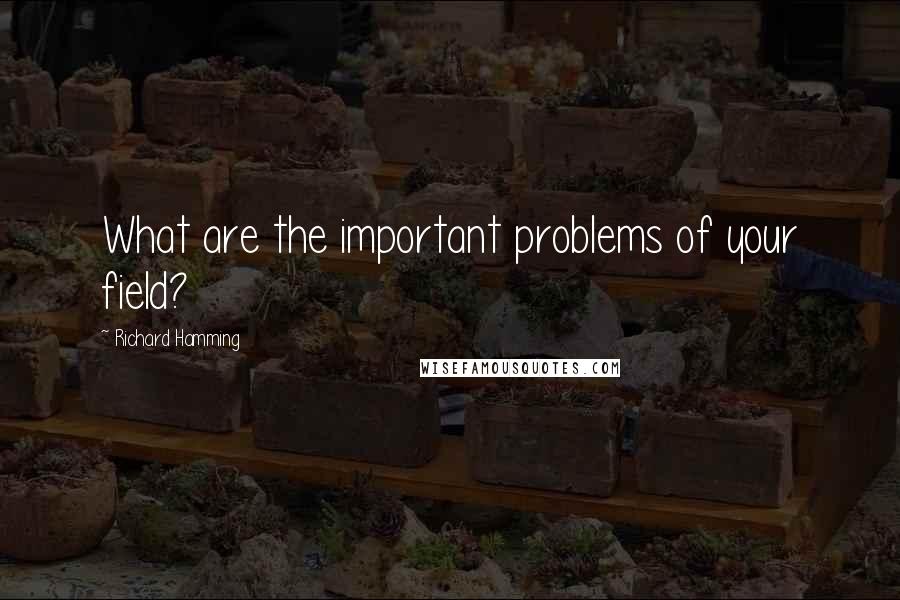 Richard Hamming Quotes: What are the important problems of your field?