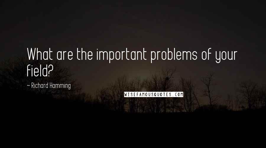 Richard Hamming Quotes: What are the important problems of your field?