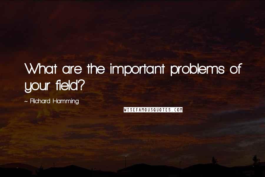 Richard Hamming Quotes: What are the important problems of your field?