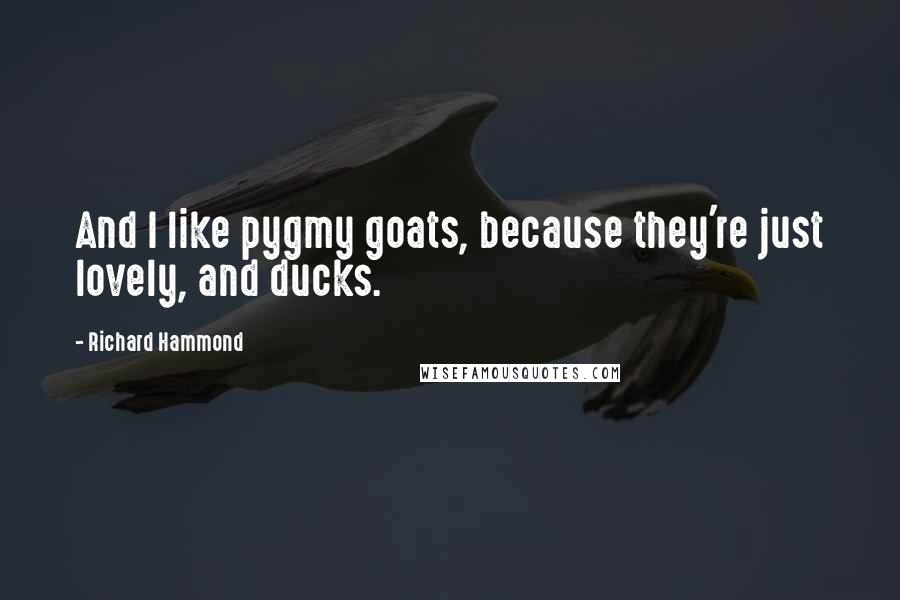 Richard Hammond Quotes: And I like pygmy goats, because they're just lovely, and ducks.